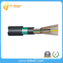 Câble blindé de tube extérieur à fibre extérieure GYFTY53